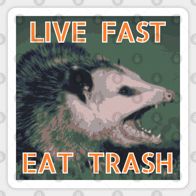 Possum: Live Fast, Eat Trash Sticker by nonbeenarydesigns